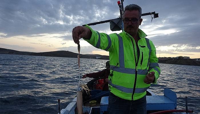 Bozcaada kalamarı gelir kapısı oldu (VİDEO)