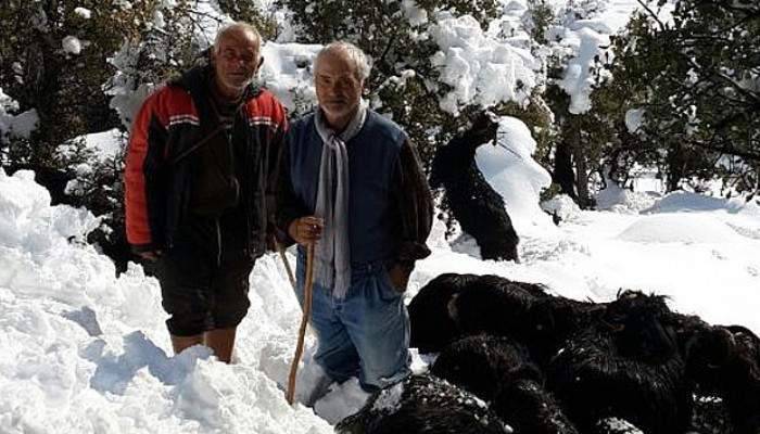 Yaylada mahsur kalan çoban 6 gün sonra kurtarıldı