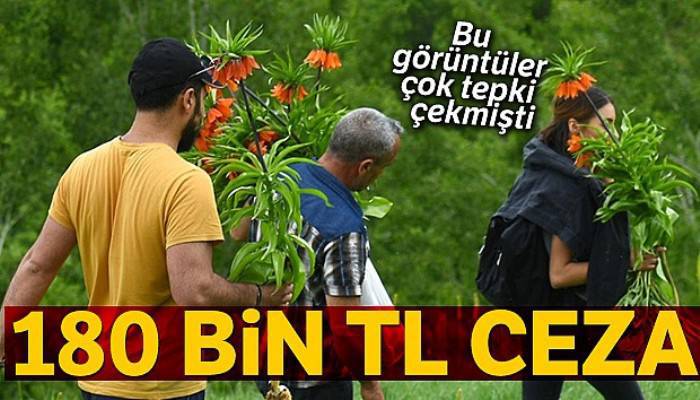 Ters laleleri koparıp götüren 3 kişiye 180 bin TL para cezası