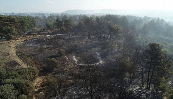 Tarihi Gelibolu Yarımadası'nda orman yangını