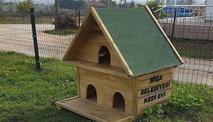 Biga Belediyesi'nden kedi evleri projesi (VİDEO)