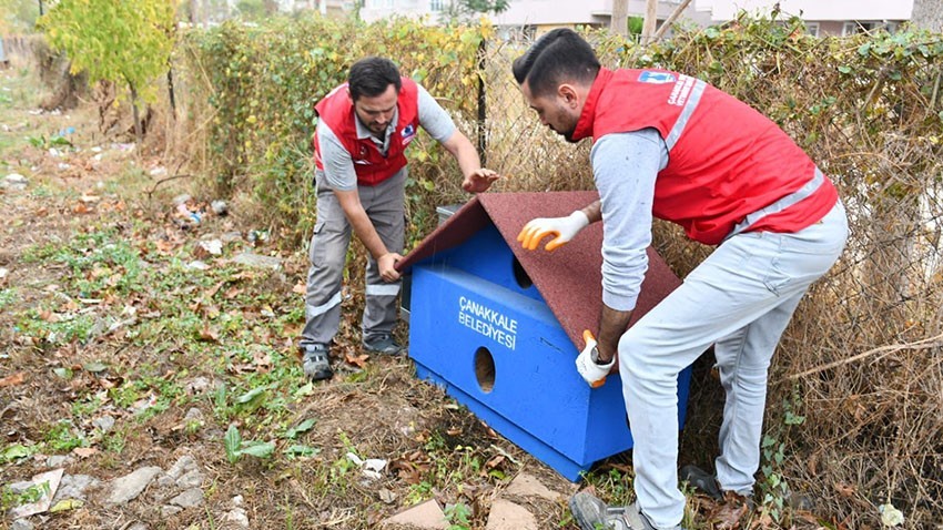 Sokak hayvanları için gönüllülerle el ele