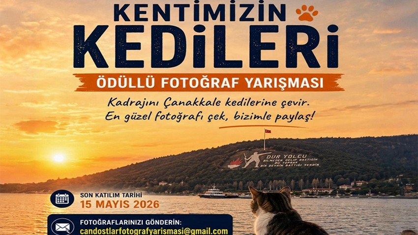 Çanakkale’nin Kedileri Yarışıyor: Ödüllü Fotoğraf Yarışması Başladı