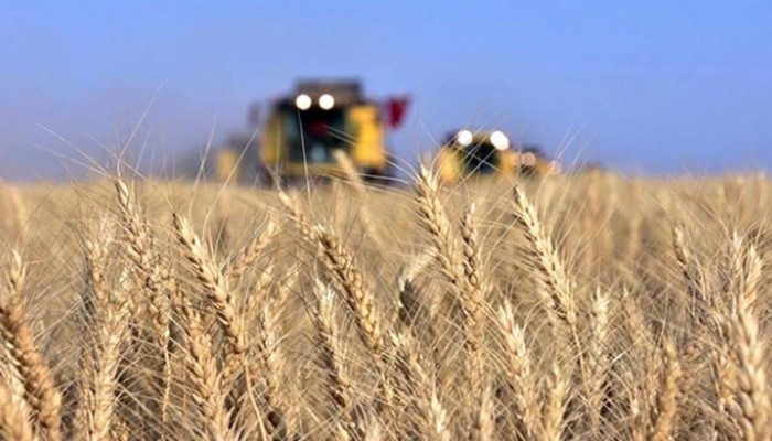 BİTKİSEL ÜRETİM DESTEKLEME ÖDEMELERİ 18 HAZİRAN'DA BAŞLAYACAK