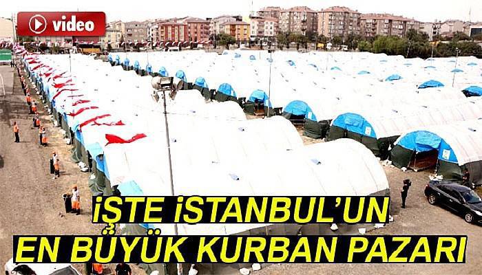 İstanbul’un en büyük kurban pazarı