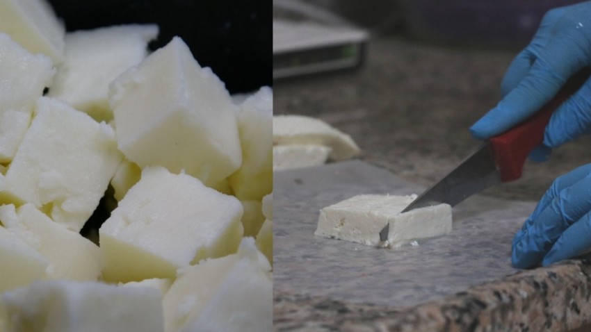  Çanakkale'de Ezine Peyniri gururu 