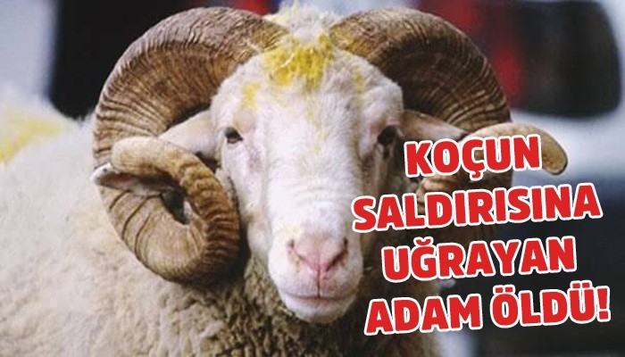 KOÇUN SALDIRISINA UĞRAYAN ADAM ÖLDÜ!