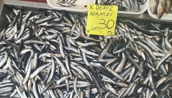 Balıkların Fiyatı Düşmüyor