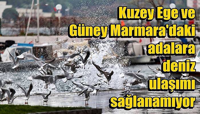 Kuzey Ege ve Güney Marmara'daki adalara deniz ulaşımı sağlanamıyor (VİDEO)