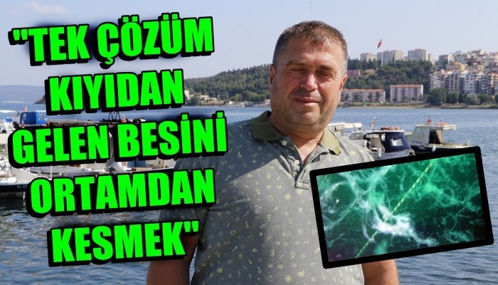 'Deniz suyu ısındı, bakterilerin parçaladığı müsilaj azaldı' (VİDEO)