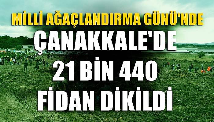 Çanakkale'de 21 bin 440 fidan dikildi