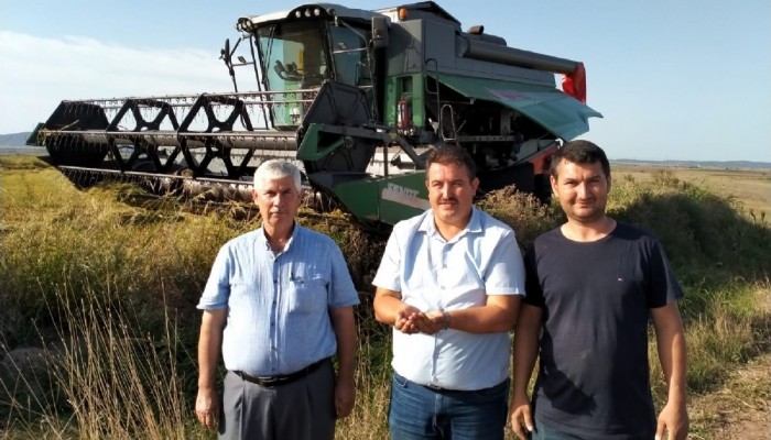 BİGA’DA ÇELTİK HASADI BAŞLADI