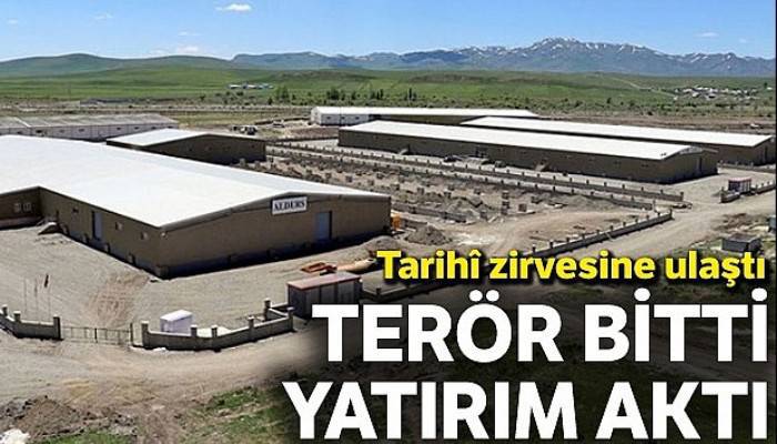 Terör bitti, yatırım aktı