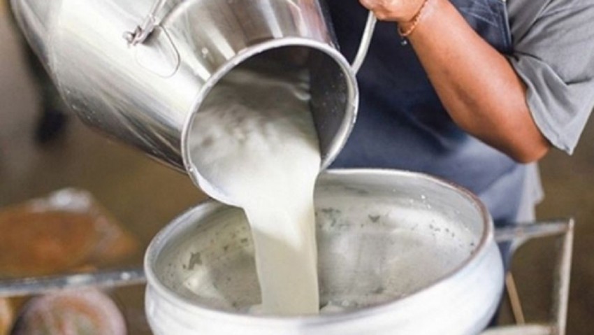 Ticari süt işletmelerince 911 bin 760 ton inek sütü toplandı