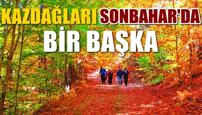 Kazdağları sonbaharda bir başka güzel (VİDEO)