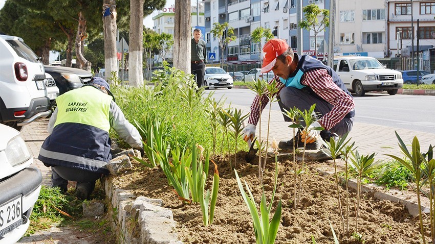 Belediye Ekiplerinden Yoğun Çalışma