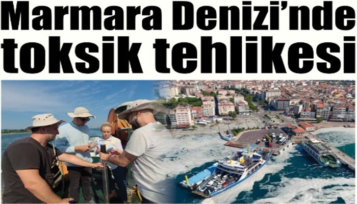 Marmara Denizi'nde, toksik tehlikesi  
