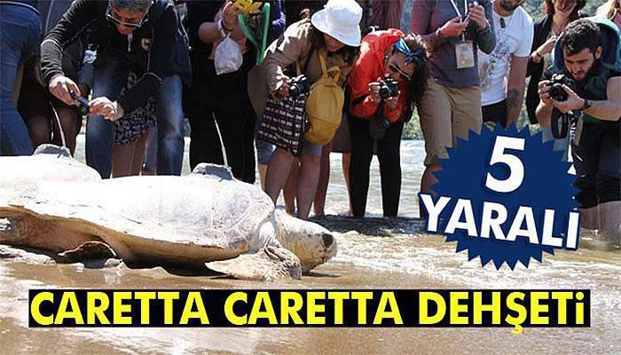 Caretta caretta dehşeti