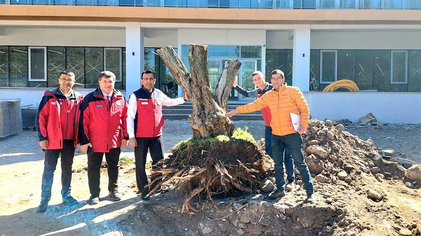 İl Tarım ve Orman Müdürlüğü’nün Yeni Binasına Zeytin Ağacı Dikildi