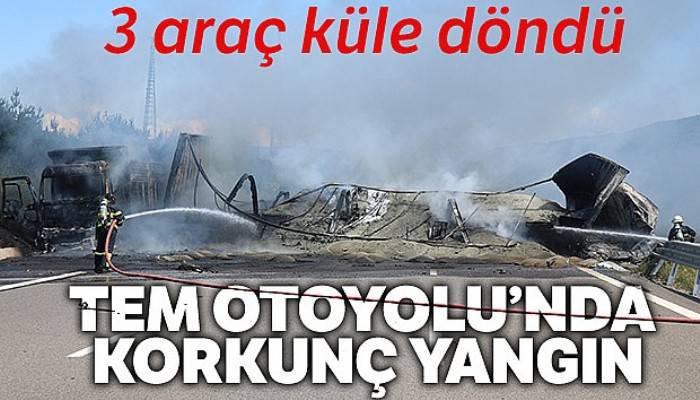 TEM Otoyolu'nda 3 araç alev alev yandı