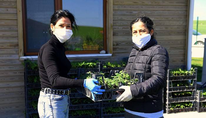 Yerel Tohumlardan Üretilen Fidanlar Vatandaşlara Dağıtıldı