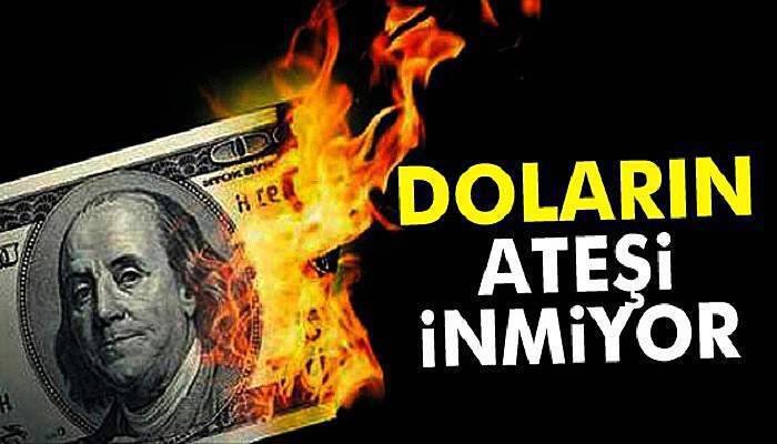 Dolar tarihi rekorunu tazeledi