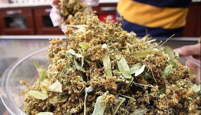 Ihlamur fiyatı altını solladı