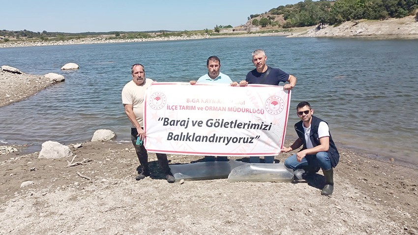 370 bin yavru balık salındı