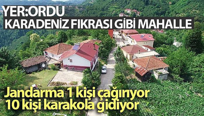 Karadeniz fıkrası gibi mahalle