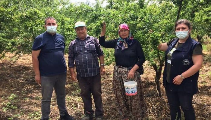 Biga İlçe Tarım ve Orman  Müdürü Fevzi Atmaca Sahada İncelemelerde Bulundu