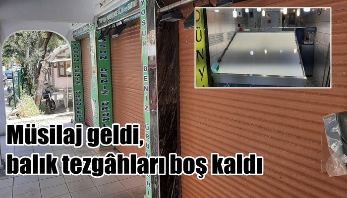 Müsilaj geldi, balık tezgâhları boş kaldı