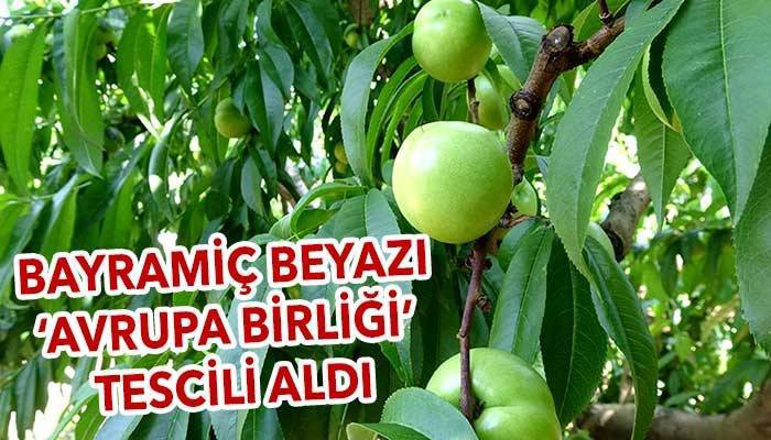 Bayramiç Beyazı ‘Avrupa Birliği’ tescili aldı!