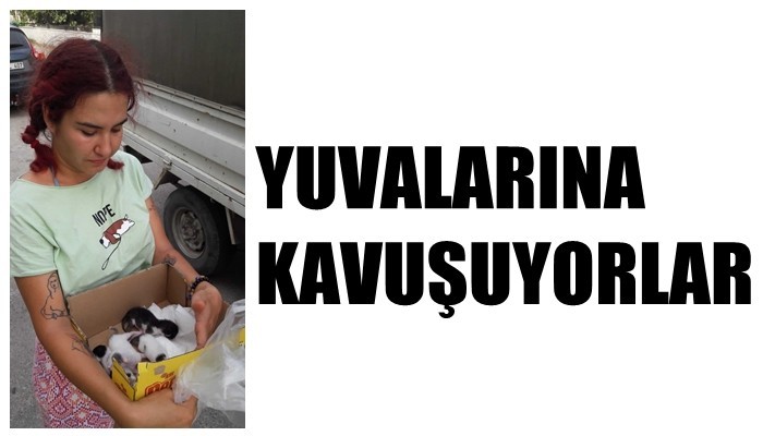 Can Dostlar Yeni Yuvalarına Kavuşuyor