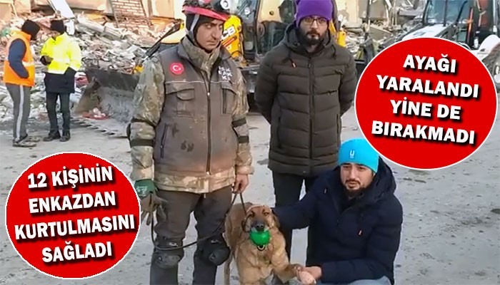 Kahraman Sıla, 12 kişinin kurtarılmasını sağladı (VİDEO)