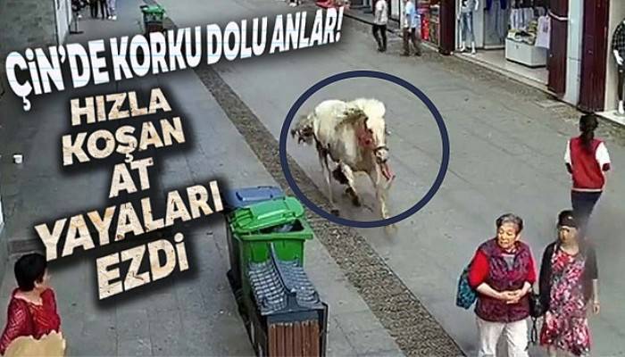 Çin'de hızla koşan at yayaları ezdi