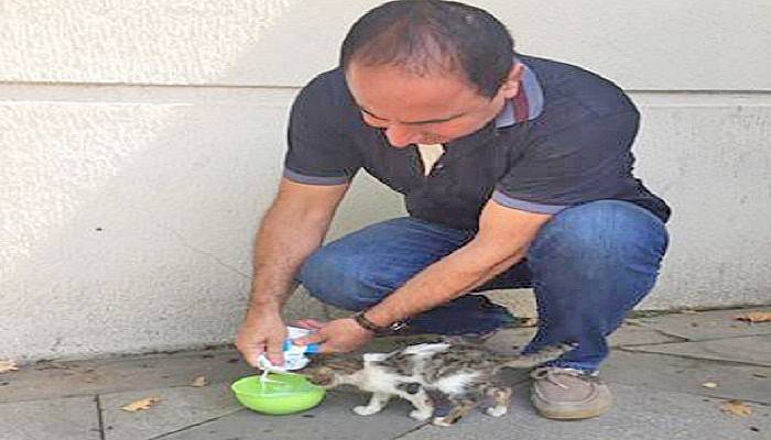 Kedileri Elleri İle Besliyor