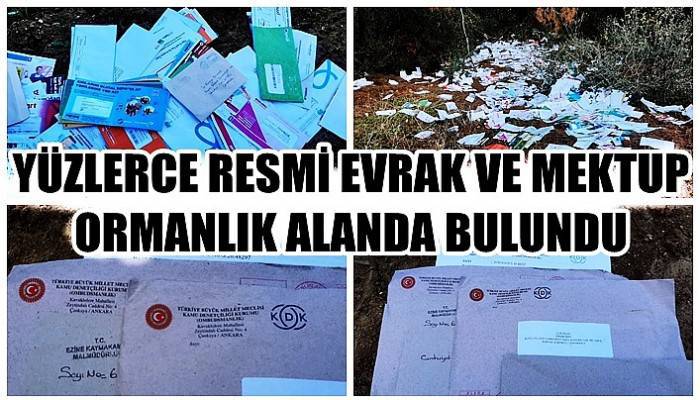 Yüzlerce resmi evrak ve mektup ormanlık alanda bulundu