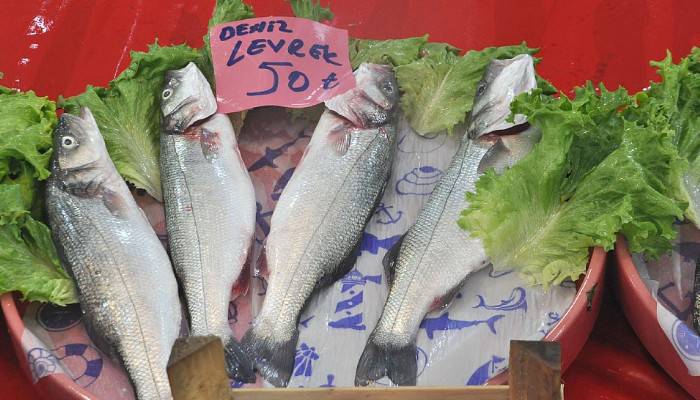 Sezon açıldı balık fiyatları halen yüksek