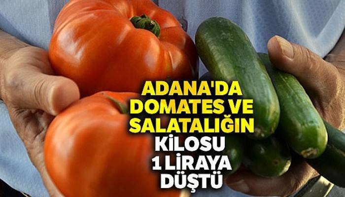 Adana'da domates ve salatalığın kilosu 1 liraya düştü