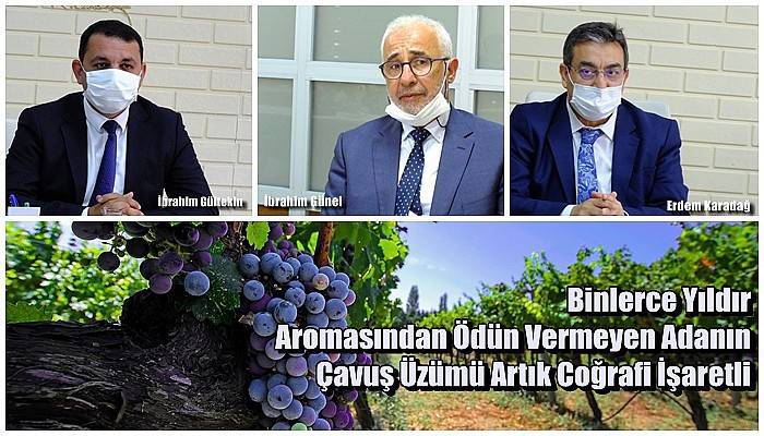 Binlerce Yıldır Aromasından Ödün Vermeyen Adanın Çavuş Üzümü Artık Coğrafi İşaretli