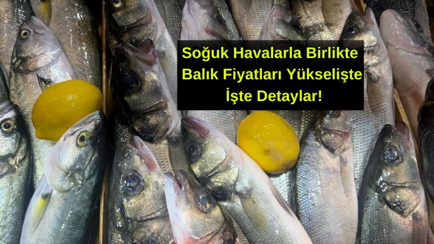Çanakkale'de soğuk havalar balık fiyatlarını yükseltti