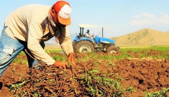  Bu Ülkenin Tarımsal Potansiyeline, Bu gıda Fiyatları Yakışmıyor