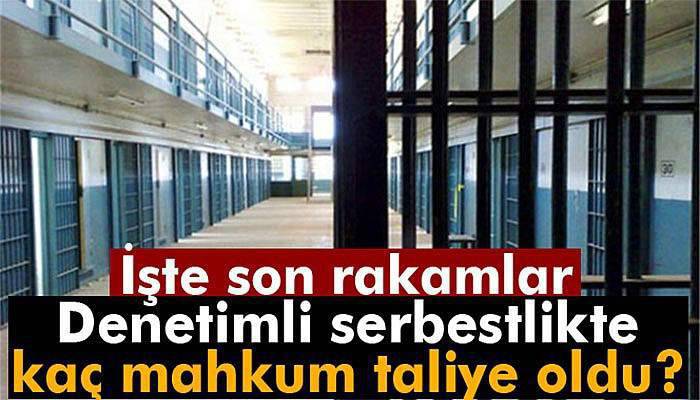 Denetimli serbestlik kapsamında tahliyedeki son rakam belli oldu