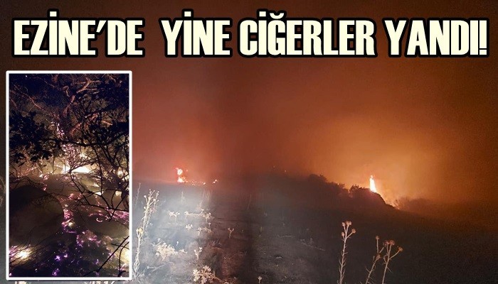 Ezine'de yangın çıktı!