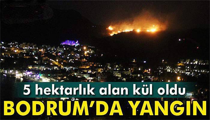 Bodrum’da 5 hektarlık alan kül oldu