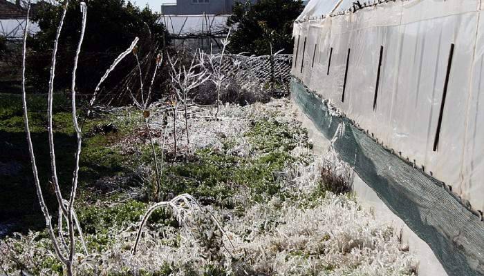 Çanakkale'de zirai don ve buzlanma riskine dikkat!