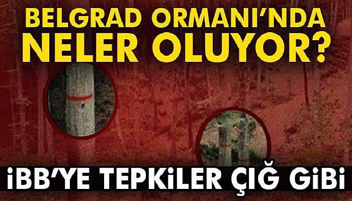 İBB’ye 'Belgrad Ormanı' tepkisi