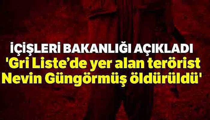 İçişleri Bakanlığı: 'Gri Liste'de yer alan terörist Nevin Güngörmüş öldürüldü'