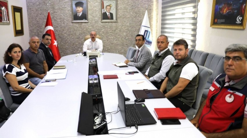 Sahipsiz sokak hayvanları masaya yatırıldı