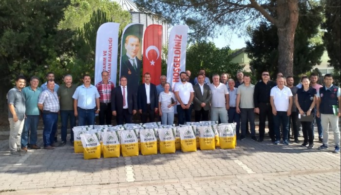 KANOLA TOHUMU DAĞITILDI